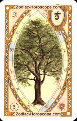 The tree, single love horoscope aries