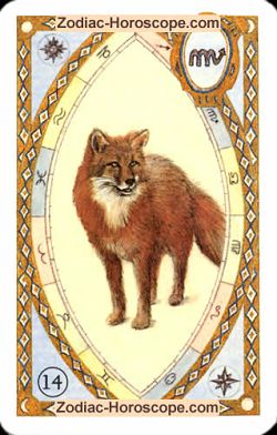 The fox, monthly Love and Health horoscope November Aries