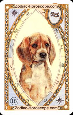 The dog, monthly Love and Health horoscope January Aries