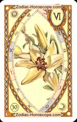 The lily, monthly Love and Health horoscope February Aries