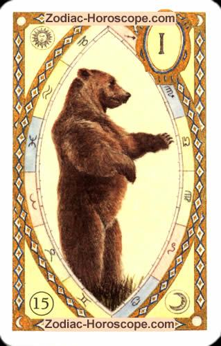 The bear Single love horoscope