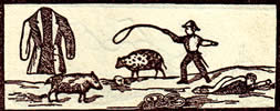 General Tarot card for today