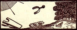 General Tarot card for today