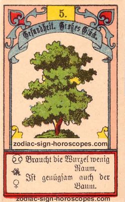 The tree, single love horoscope aries