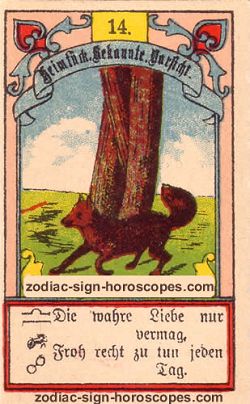 The fox, monthly Aries horoscope January