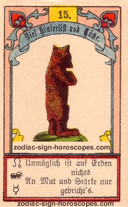 The bear, monthly Aries horoscope November