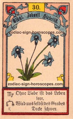 The lily, monthly Aries horoscope June